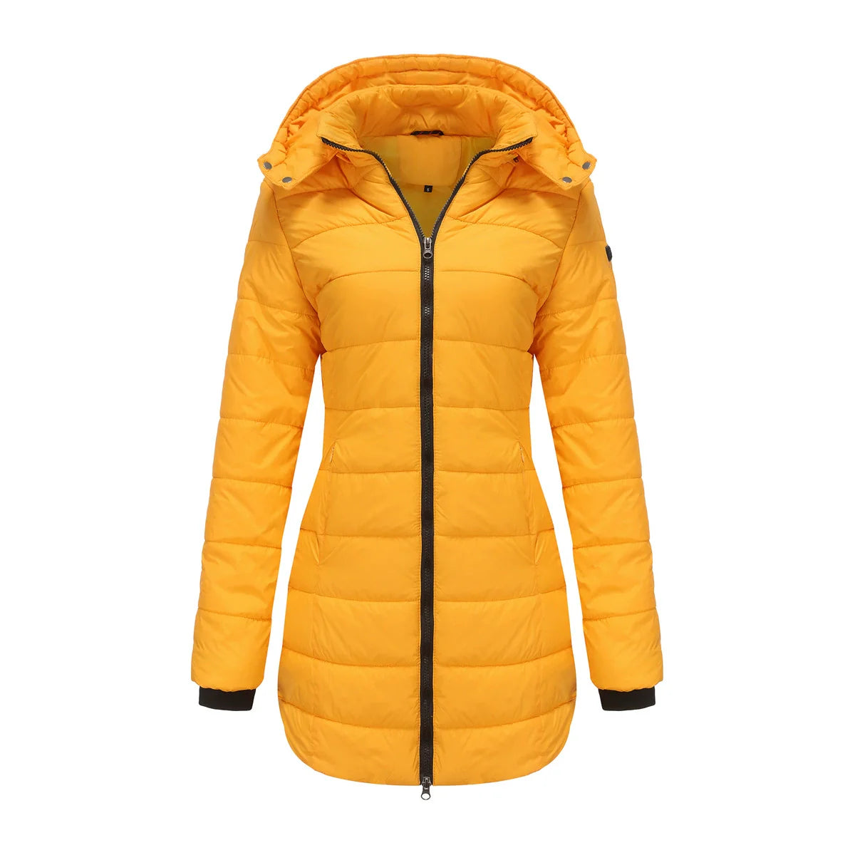 Ladies Puffer Jacket – Padded – Detachable Hood – Ribbed Cuffs – Mid-Length Model