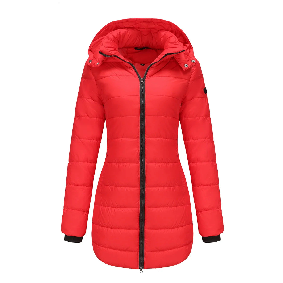 Ladies Puffer Jacket – Padded – Detachable Hood – Ribbed Cuffs – Mid-Length Model